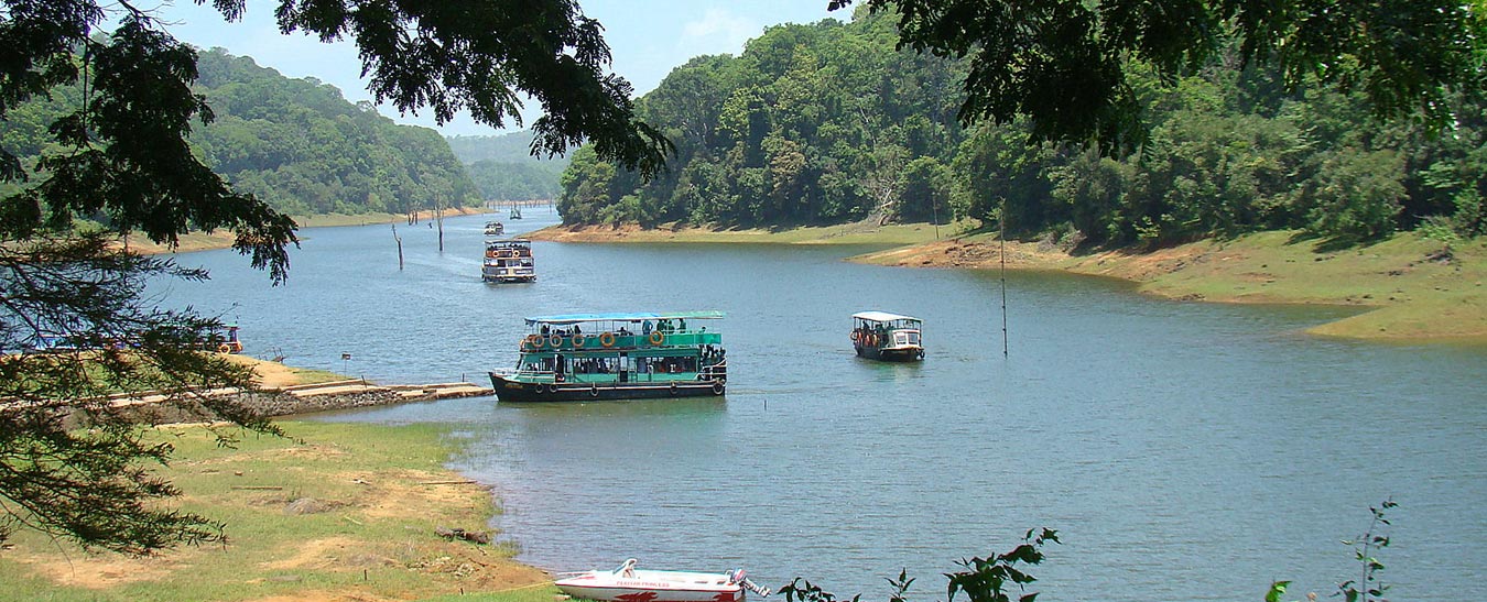 periyar meadows